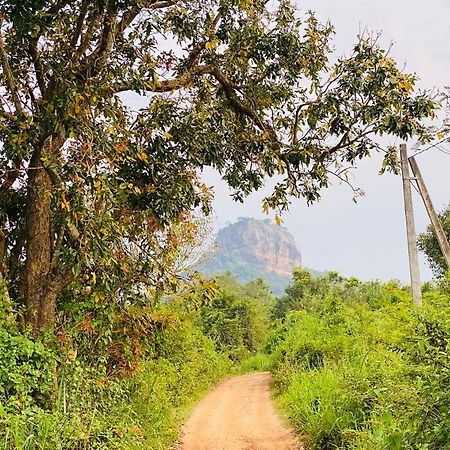 Hotel Sigiriya Kele Екстериор снимка
