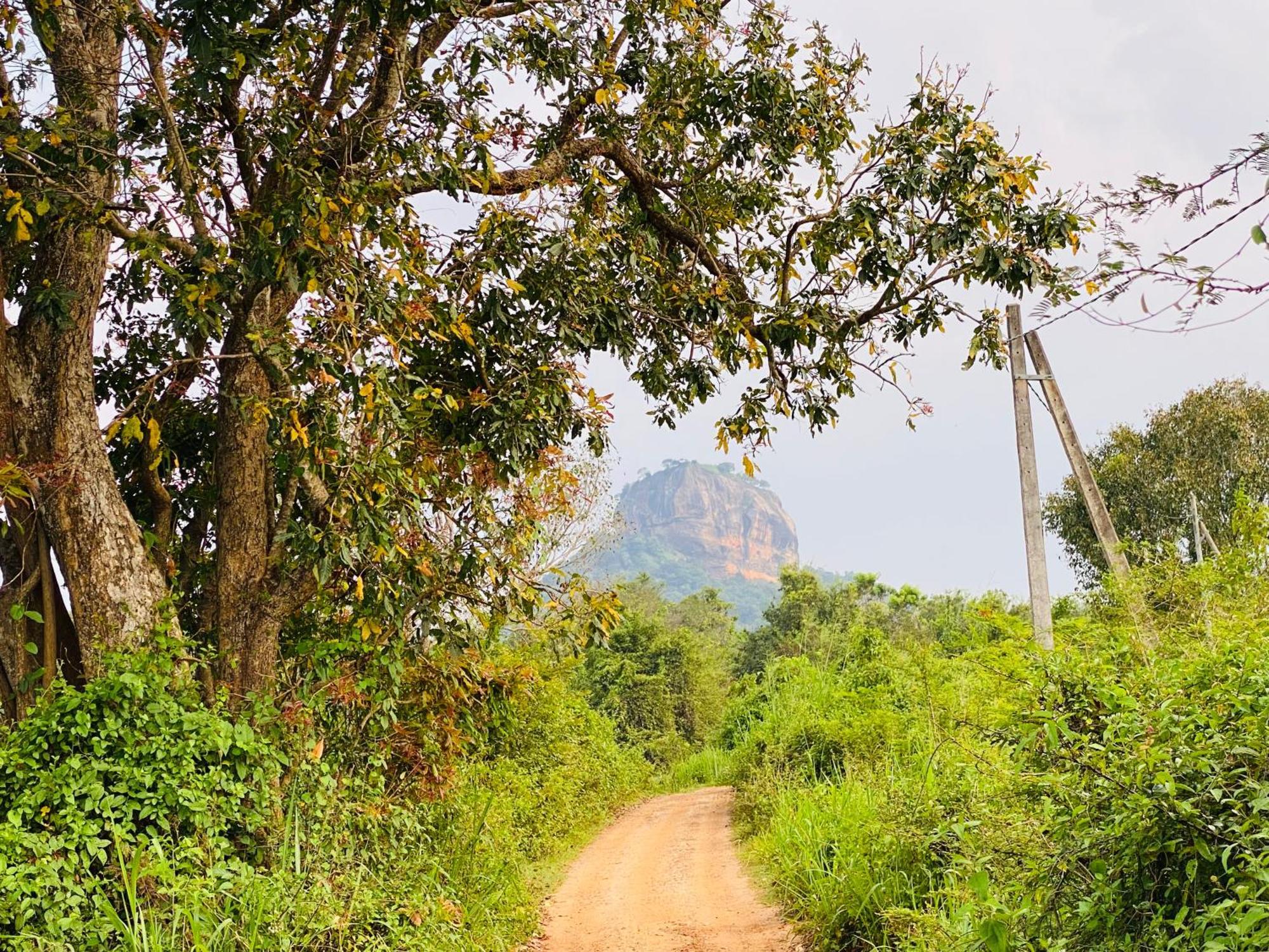 Hotel Sigiriya Kele Екстериор снимка