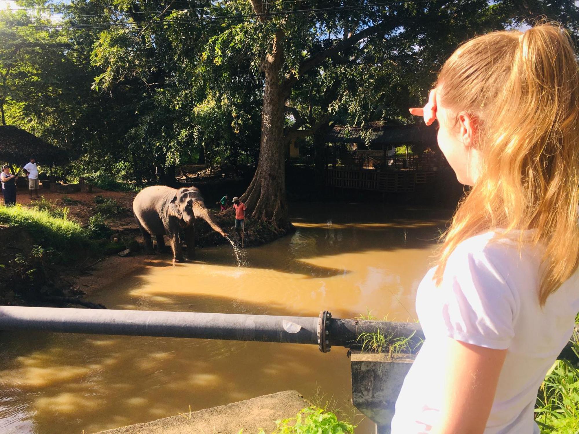 Hotel Sigiriya Kele Екстериор снимка